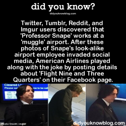 did-you-kno:  Facebook/American Airlines:Tumblr