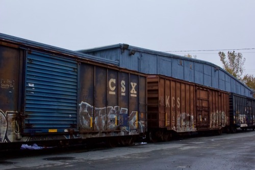 CSX, photo by Mary Jean Massie