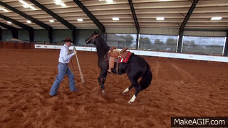 goodhorsekeeping:  sabino-spots:  iracebarrels:  themotherfuckingclickerkid:  Today