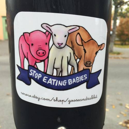 gooseandrabbit: Stop Eating Babies StickerWe’ll have these stickers up in our etsy store next week