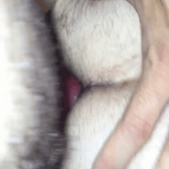 alphapupgunner:  A video from a while ago of me and sir getting “knotty” 😜😍🐾❤️🖤