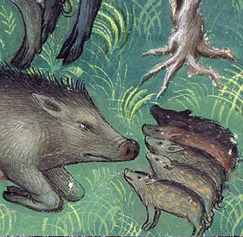 discardingimages:listen up, piglets!Gaston Phoebus, Le Livre de la chasse, Paris ca. 1407NY, Morgan,