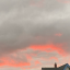 darkcloudbloom