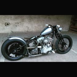 bobberinspiration:  Shovelhead