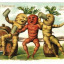 ofrosebud