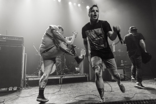 suppy-league:  Hundredth (Not my photo)  