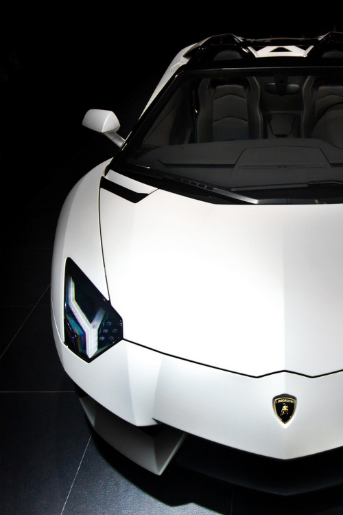 kalifornia-mercy:carbonandfiber:Aventador -