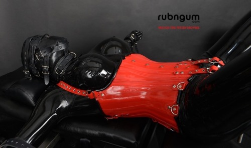 rubngum:  Welcome „ on board“