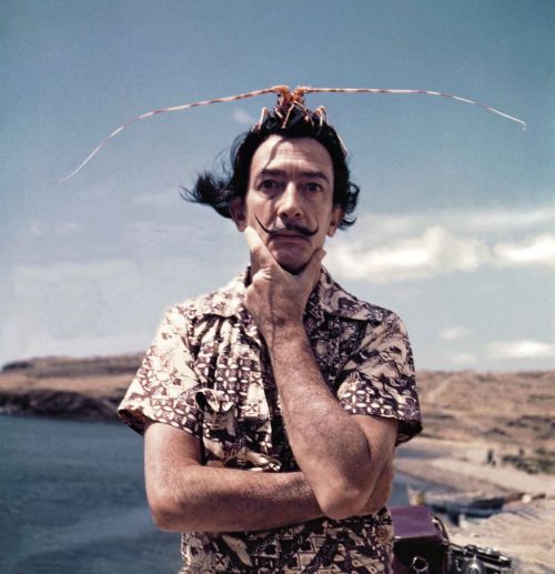 Portrait of Salvador Dali in the 1950′s