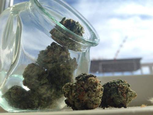 http://blowmelikekushhh.tumblr.com/post/127364086064