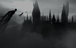 Harry Potter And The Deathly Hallows Part 2 (2011) Dir. David Yates
