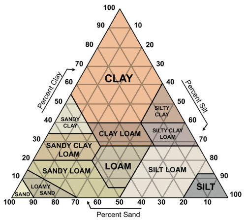 hurricanenoelle:Taxonomy of soil. You’re welcome. 