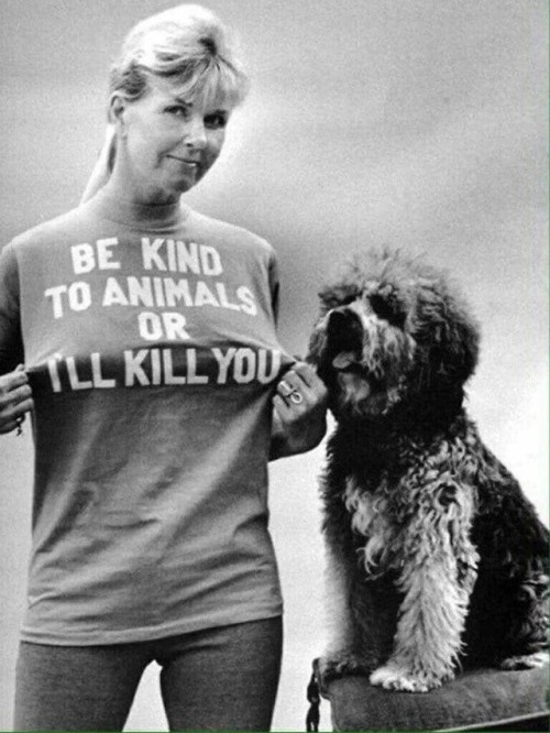 rupertmacgregor: Rest in Peace, Doris Day. Much gratitude for your lifelong advocacy for dogs and ot
