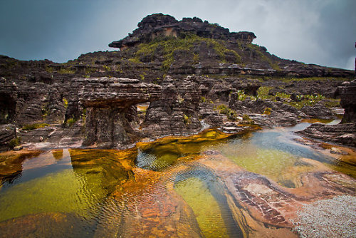 neil-gaiman:odditiesoflife:Mount RoraimaThe incredible top of Mount Roraima, the 1.8 million year ol