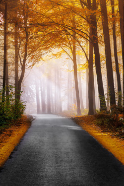 favorite-season:  A way to the light… by