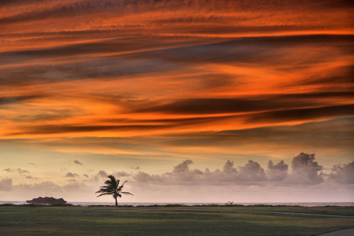 Mesmerizing Sky by orgazmo on Flickr.