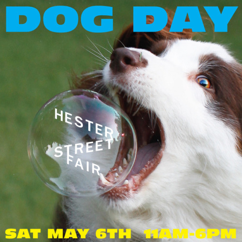 TODAY! Hester Street Fair is excited to bring Dog Day back to the Lower East Side and Seward Park co