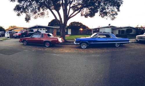 eastbaychicano:  The homie and I going for a cruise