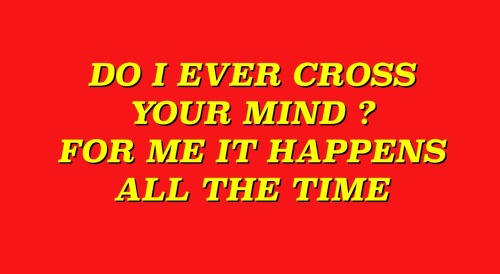 vikhau:  everywhere // extract from my diary