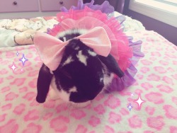 princess-of-poof:  Playing dress up with