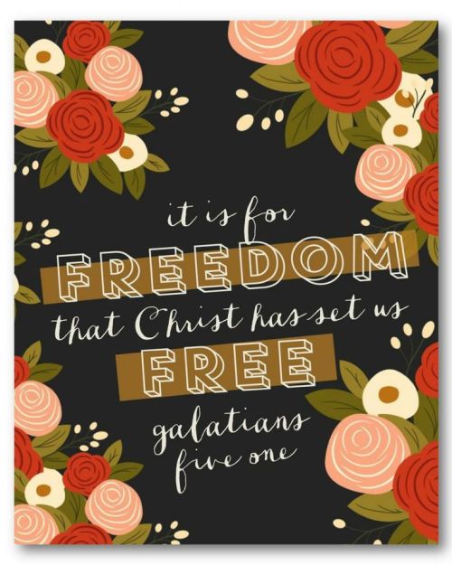 simply-divine-creation: simply-divine-creation: Galatians 5:1 It is for freedom that Christ has se