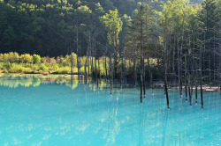 seraphica:  The “Blue Pond” in Biei,