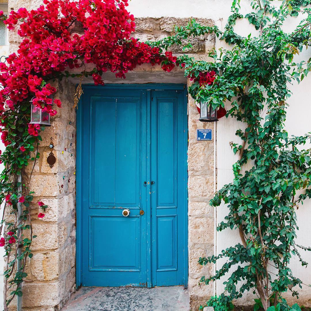 floralls:  Turkey by   ahmet.erdem  