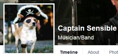 dykevanian:Captain Sensible’s entire internet presence is represented by a tiny dog dressed as a pir