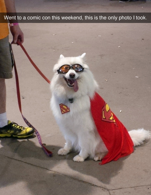 barefooteconomist:  paulwelsey:  Only one that matters  skookumthesamoyed