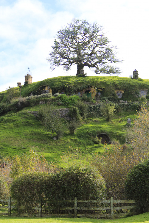 miritamoku:  fortysixthhour:  It began…well, it began as you might expect. In a hole in the ground, there lived a hobbit. Not a nasty, dirty wet hole full of worms and oozy smells. This was a hobbit hole. And that means good food, a warm hearth, and