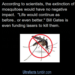 mackblesa:  batcacaloco-fanwarrior:  hisanakubi:  dreamofserenity626:  koodlemboodler:  HOLD IT! HOOOOLD EVERYTHING!  Didn’t even need to click on the gif or read what was below it to know who it was.  Bill Gates is funding the laser to kill mosquitoes