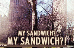 orsonswell:  One of my favorite episodes. The One with Ross’s Sandwich. 