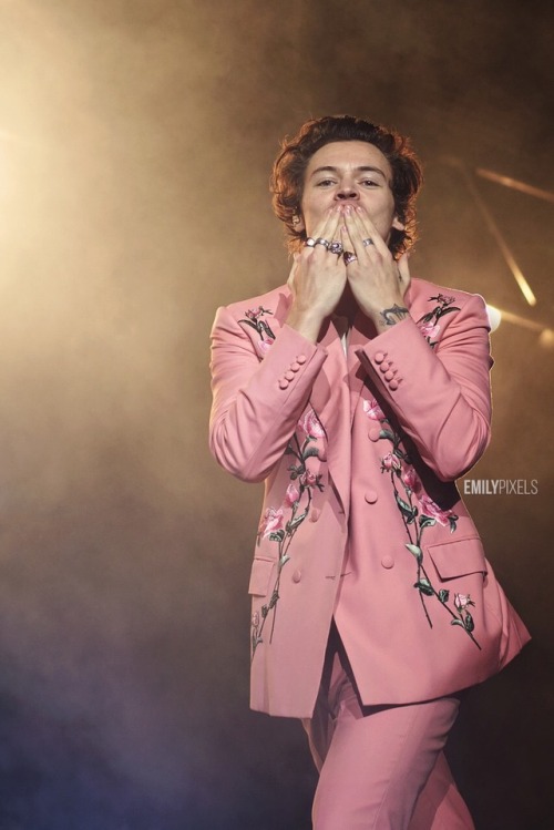 Harry Styles Dallas Explore Tumblr Posts And Blogs Tumgir