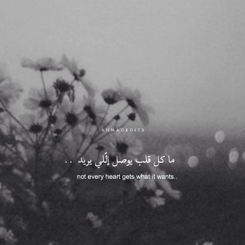 ahmadshoaib:  — Khalid Al-Faisal