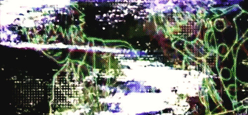 ❥Ͼarpe diem
