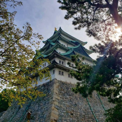 Aichi Prefecture 。 。 。 #japan2019 #prefecturehopping #shizuoka #aichi #gifu #NagoyaCastle #ig_japan 