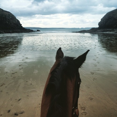 leatherbounddesign:  Today this was my dressage arena , cold but amazing. The horses just love the surface. #dressage #horse #beach #cold #winter #sand #sea #pembrokeshire #nolton #britishdressage #schooling #training