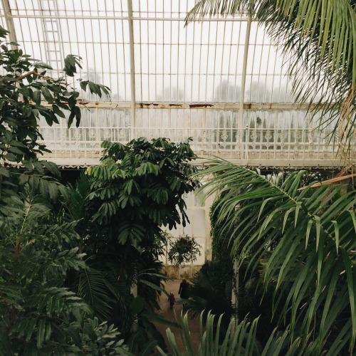 shona-kate:Kew Gardens, 22 October 2014