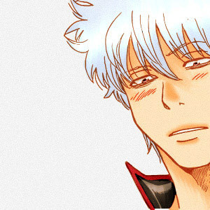 dailyanime:DAILYANIME FAVORITE CHARACTER PER MEMBER → @zuura↳ Gintoki Sakata