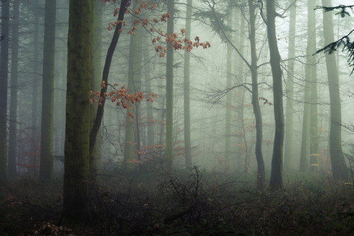 The Colors of Winter by Jerdess