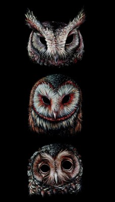 Owl Art