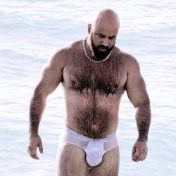 He has the entire package; Handsome, hairy,