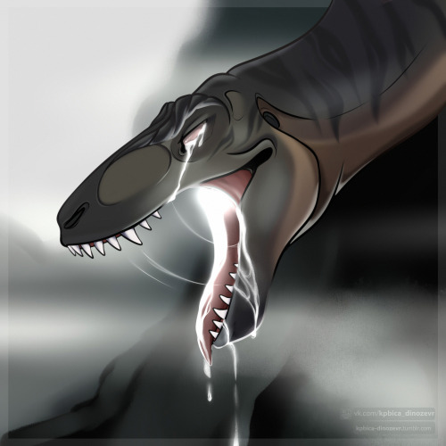 kpbica-dinozevr
