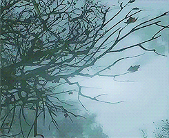 Porn photo sairent0hiru:   Silent Hill: Downpour + scenery