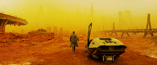 cinemaspam:   Blade Runner 2049 (2017) Dir. Denis Villeneuve Cinematography by Roger