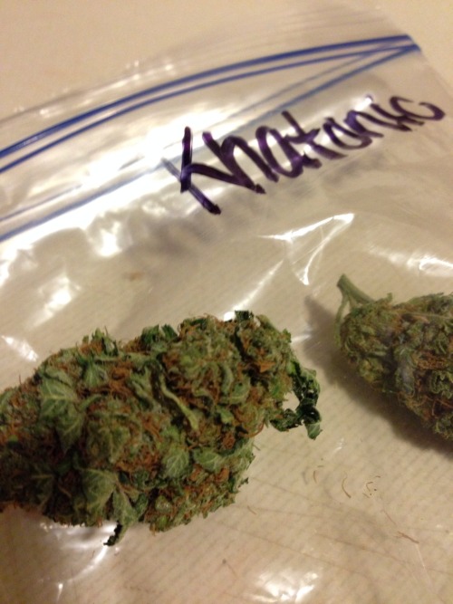 lucyslady:  Got myself four different flavors.