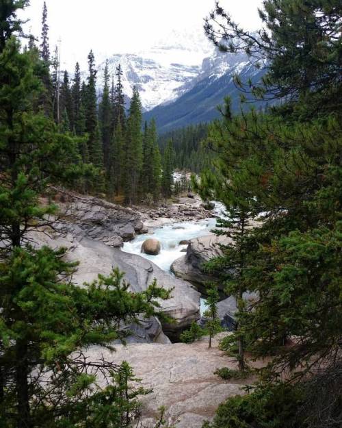 Mistaya Canyon you have my heart ❤ and I took one of your rocks  ...#mountains #hike #trees #rocks #