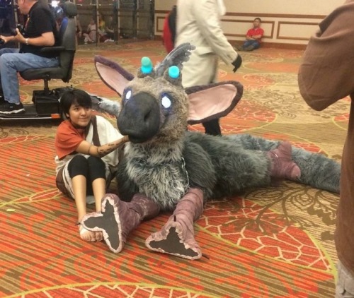 frenzy-virus: Got plenty of pictures of my Trico cosplay from Afest, here are some of my favorites! I always love wearing big suits out and hearing everyone’s reactions. Anytime you see the Boy holding trico’s face, we were trying to relieve pressure