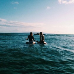 asurferdreams:  Surfing posts