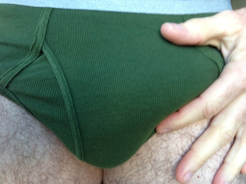 bushypubeloverworld: pupsunderwearpics: Pup in Low Rise Green Hanes With Hard On //